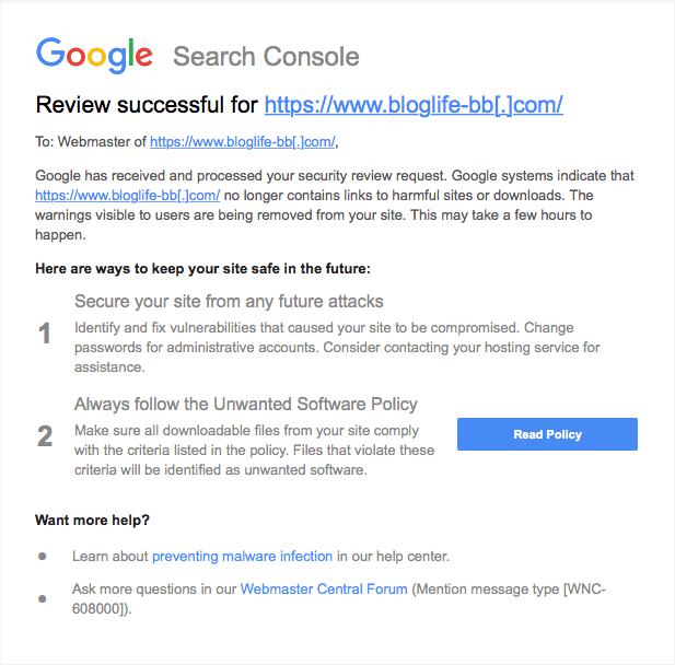Review successful message from Search Console.png
